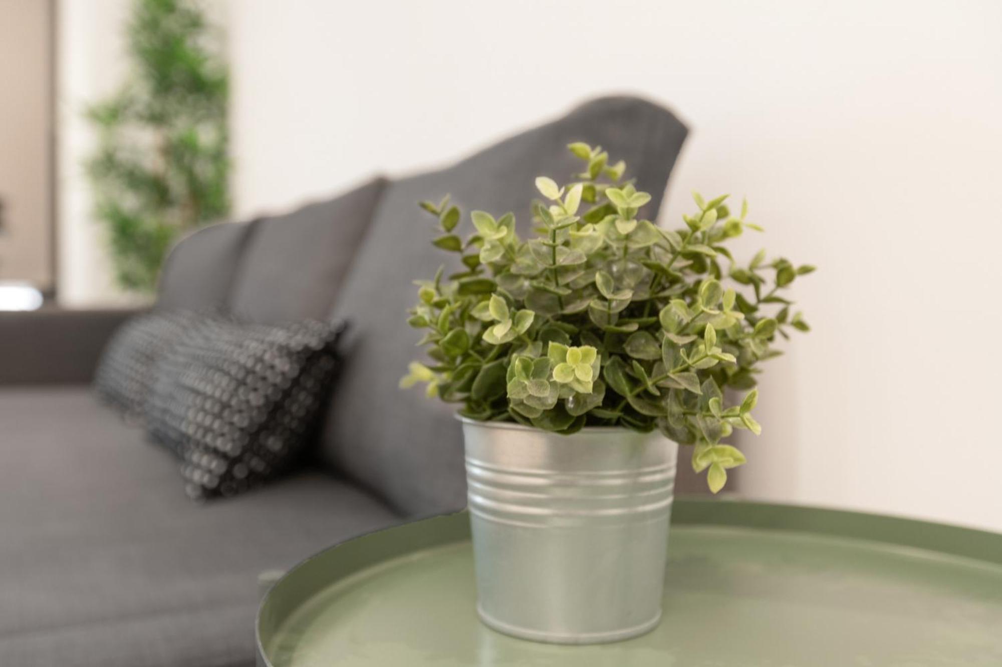 Begobe Room توريمولينوس المظهر الخارجي الصورة
